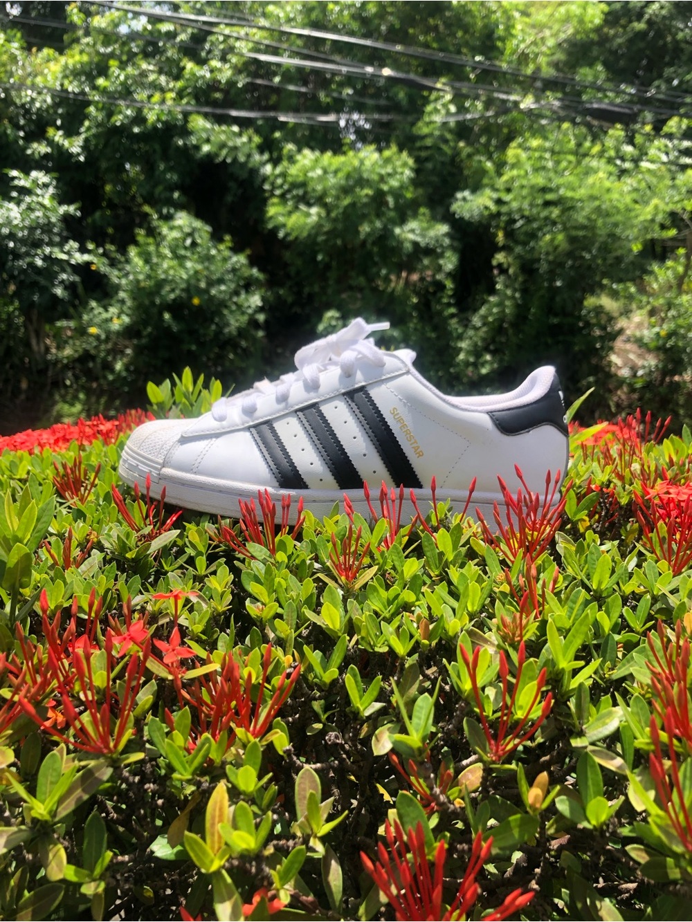 Adidas White Sneakers with Black Stripes